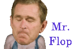 Mr_flop_crop_150x100