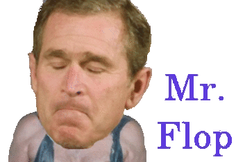Mr_flop_crop_340x234