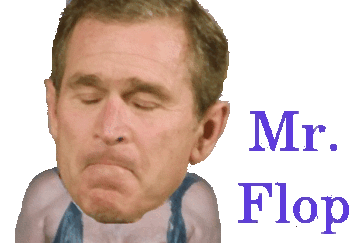 Mr_flop_feature