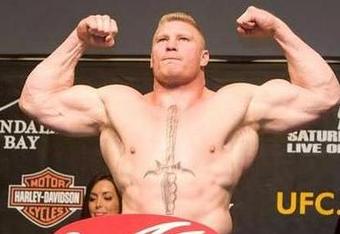 Brock_lesnar_crop_340x234