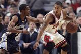 D_rose_more_feature