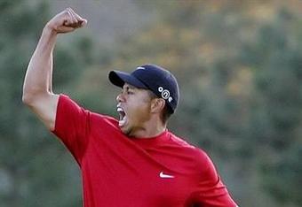 Tigerwoods_crop_340x234
