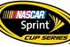 Sprint_medium