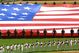 0911flag_lasf500x325_medium