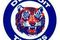 Detroit_tigers_small