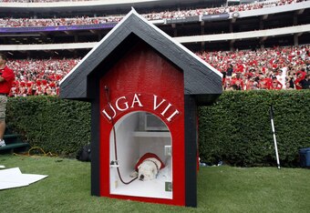 4880337_georgia_southern_v_uga_crop_340x234