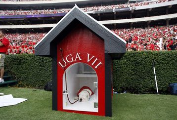 4880337_georgia_southern_v_uga_feature