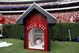 4880337_georgia_southern_v_uga_medium