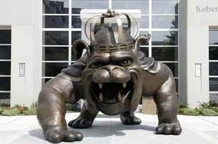 Dukedog_crop_310x205