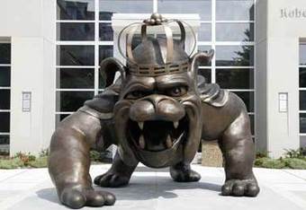 Dukedog_crop_340x234