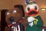 Duckbeav_crop_150x100
