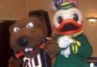 Duckbeav_crop_340x234