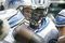 Detroit_lions_2_small