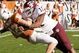 Sacking_colt_medium