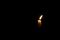 Candle_small
