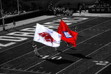 Flags_more_feature