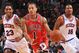 Bulls2_medium