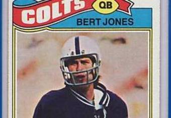 Bert_crop_340x234
