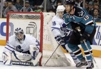 Sharks_leafs_crop_340x234