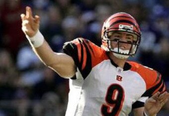 Nflf-carson_palmer_120504_crop_340x234