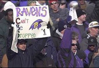 _1106698_ravens300_crop_340x234
