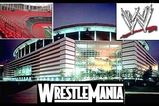 Wwe_more_feature