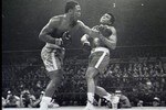 Alifrazier_crop_150x100