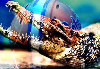 Uf_crop_340x234