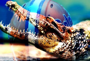 Uf_feature