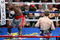 39166_small