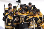 Bruins_crop_150x100