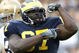 Terrence_taylor_michigan_lb_medium