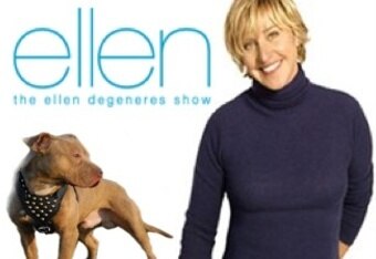 Ellen_crop_340x234