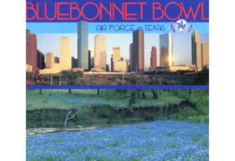 Bowl_85_bluebonnet_crop_340x234