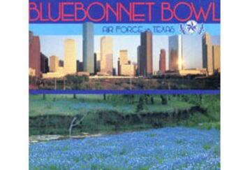 Bowl_85_bluebonnet_feature