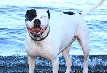 Img_7233_crop_340x234