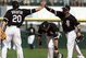Whitesox_medium