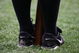 10679_medium