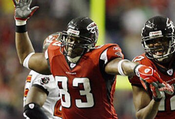 Falcons_feature