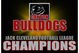 Champions_2008a_medium