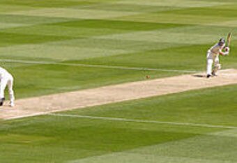 300px-cricket_picture_crop_340x234