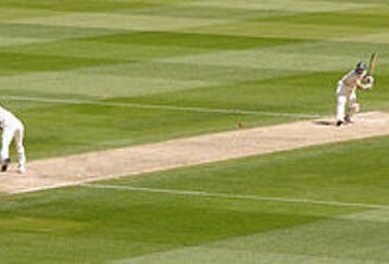 300px-cricket_picture_feature