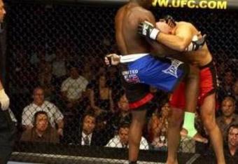 Cheick-kongo_crop_340x234