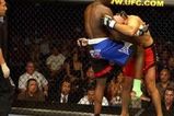 Cheick-kongo_more_feature