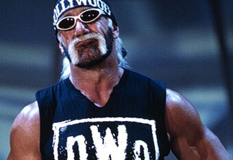 Hulk-hogan-015_crop_340x234