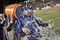 Malzahn_small