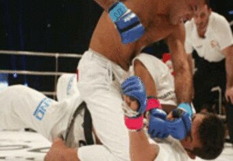 Royce_yoshida_crop_340x234