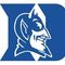 Duke_feature_crop_60x60