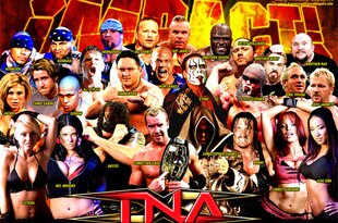 Tna-impact-wrestlers-knockouts-_crop_310x205