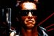 The-terminator_medium